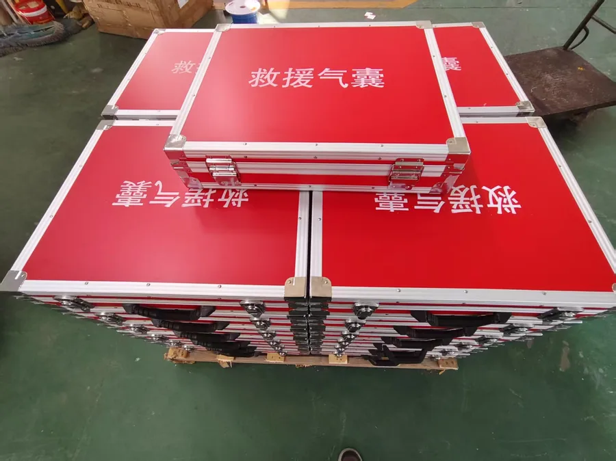 Aluminum alloy case