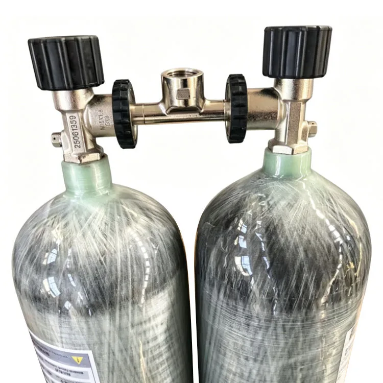 Dual gas bottle connector