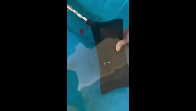 Custom Cushion Pre-Delivery Inspection